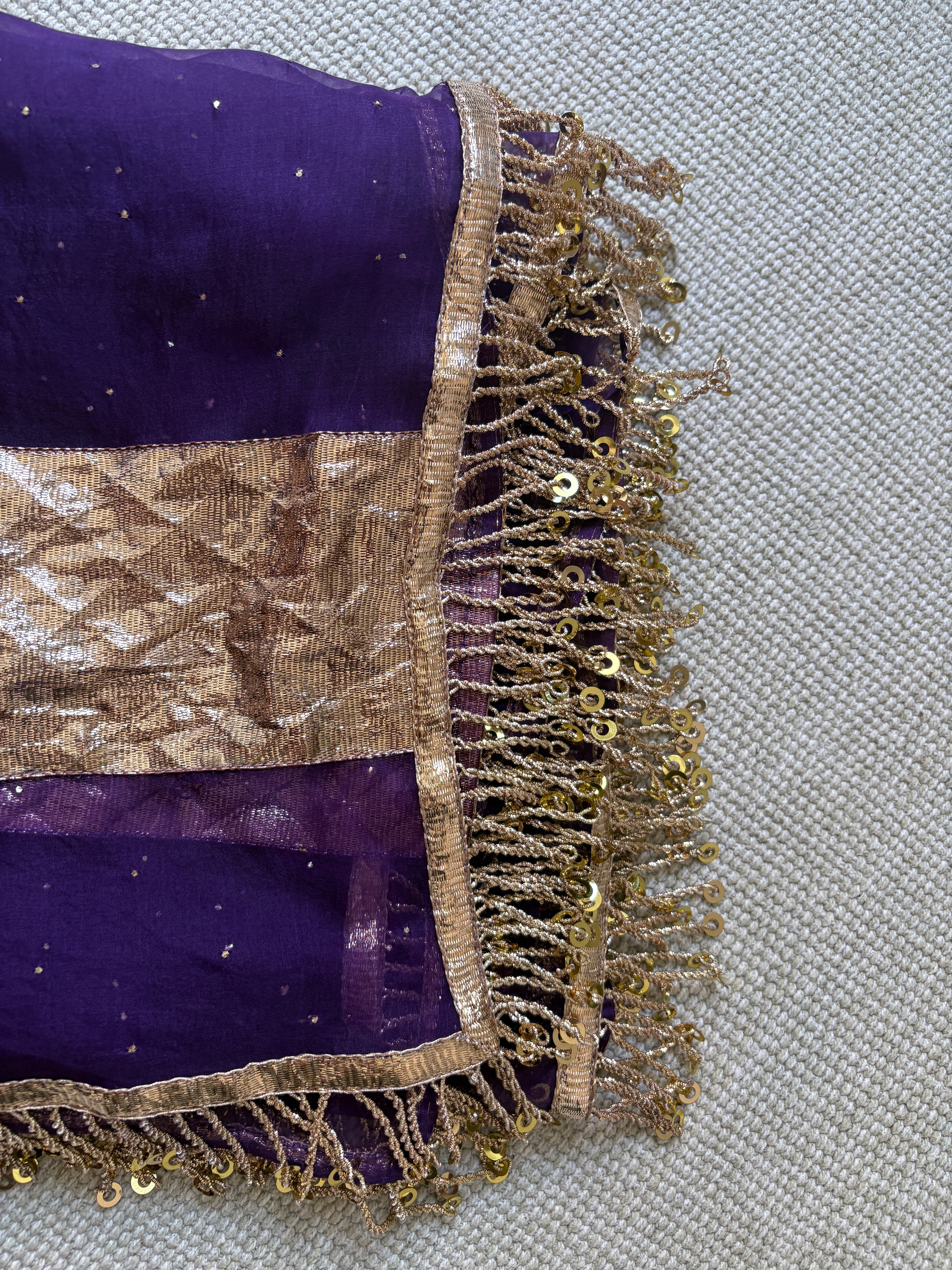 Vidya Pure Organza Lamphi with Latkan Dupatta