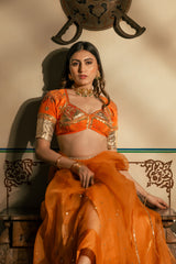 Lotus Aangi Saree set
