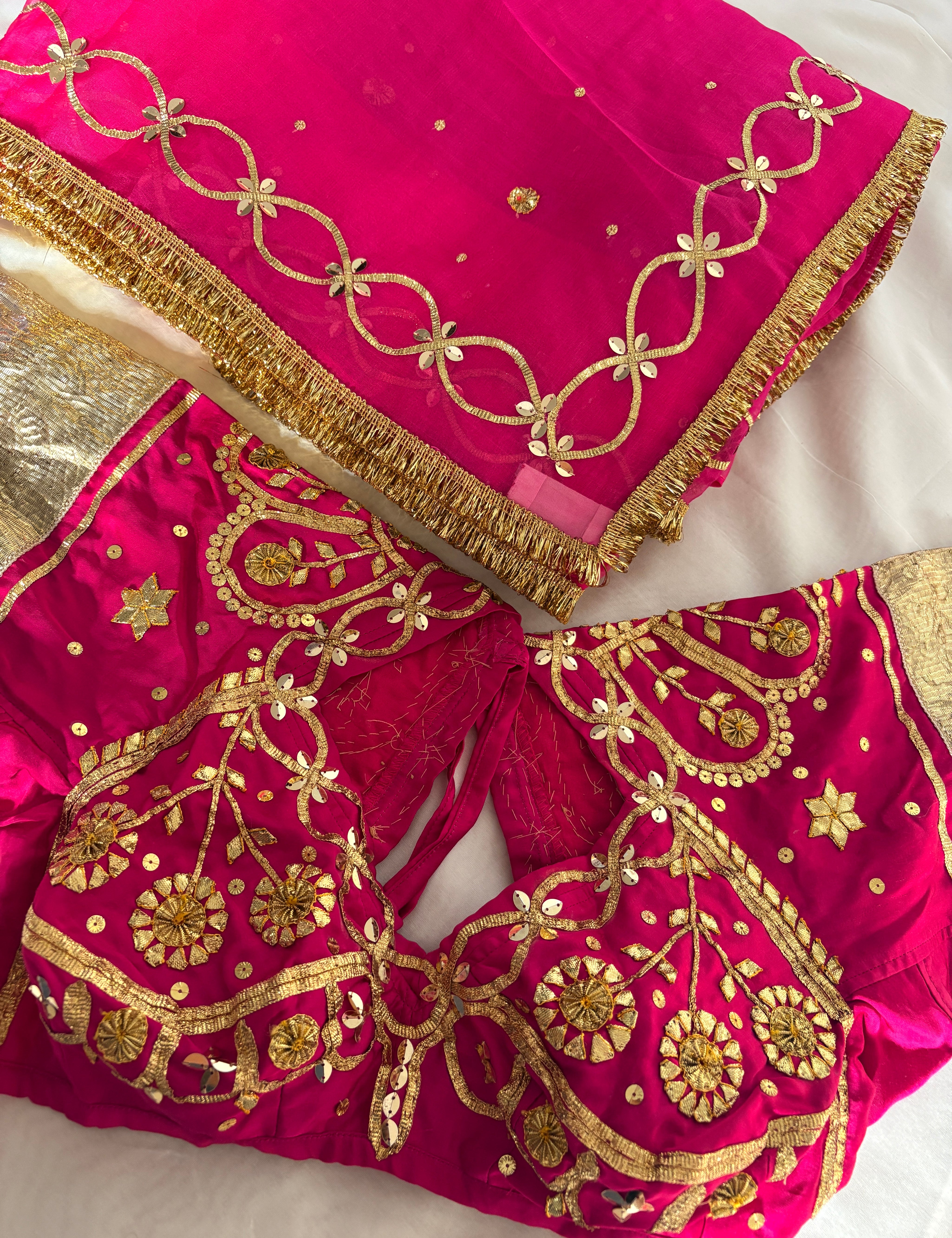 A close-up of a bright pink traditional Aangi Blouse featuring extensive gold embroidery, floral motifs, and a matching sheer pink Saree with gold border detailing.