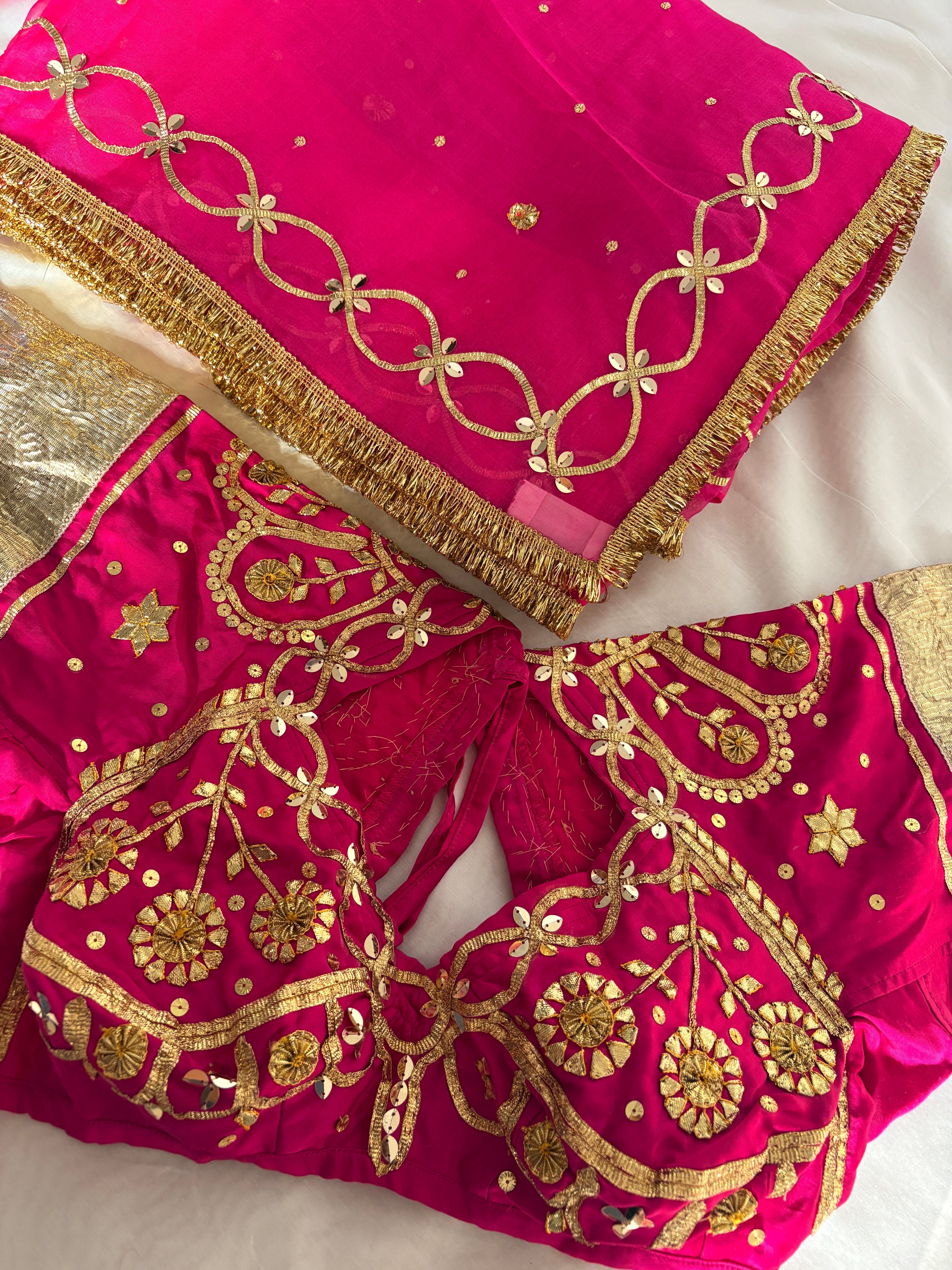 A close-up of a bright pink traditional Aangi Blouse featuring extensive gold embroidery, floral motifs, and a matching sheer pink Saree with gold border detailing.