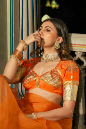 Lotus Aangi Saree set