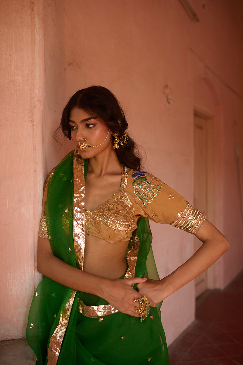 Mayur Saree Aangi Set in pure organza featuring copper floral sequin borders and handcrafted peacock motifs by House of Baisa
