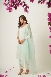 Piya Green Organza Suit Set