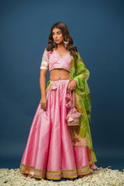 Sundari Handpainted Lehenga Set