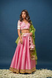 Sundari Handpainted Lehenga Set