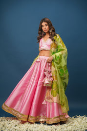 Sundari Handpainted Lehenga Set