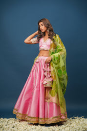 Sundari Handpainted Lehenga Set