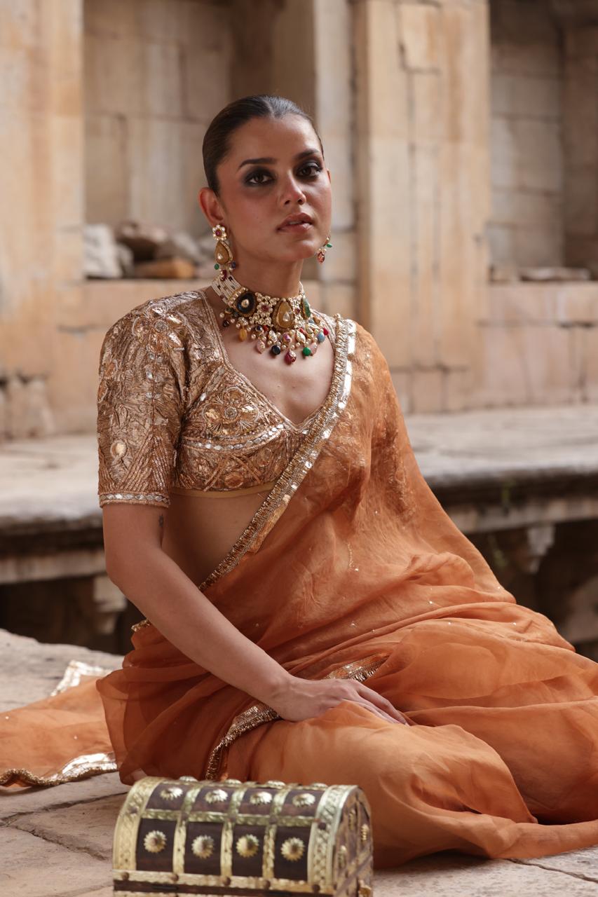 Bhuri Lamphi Gota Aangi Saree Set