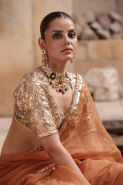 Bhuri Lamphi Gota Aangi Saree Set