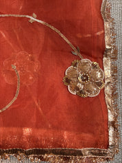 Chameli Pure Organza Gota Jaal Saree
