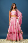 Model wearing Mandakini pink lehenga with floral hand-painted blouse and satin skirt

