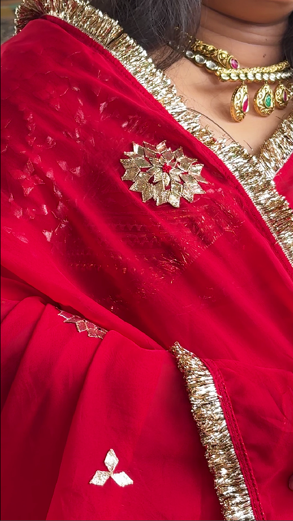 Diya Red Hand Embroidered Organza Saree