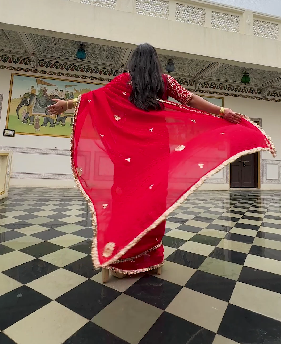 Diya Red Hand Embroidered Organza Saree