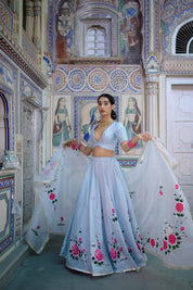 Back view of blue lehenga blouse design
