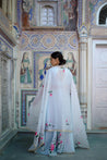 Gota border close-up on net dupattas