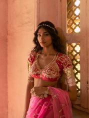 Devkee Aangi Blouse - House of Baisa