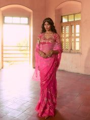 Devkee Aangi Saree set - House of Baisa
