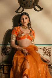 Lotus Aangi Saree Set with orange organza silk saree and embroidered Aangi blouse