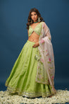 Back view of Maya green lehenga showing blouse design and dupatta drape
