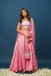 Full lehenga set with blouse, skirt, and net dupatta
