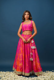 Pink Lehenga Set – Graceful & Festive Wear for Every Celebration - House of Baisa