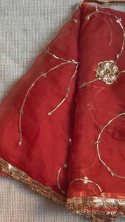 Chameli Pure Organza Gota Jaal Saree