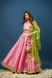 Sundari Handpainted Lehenga Set - House of Baisa