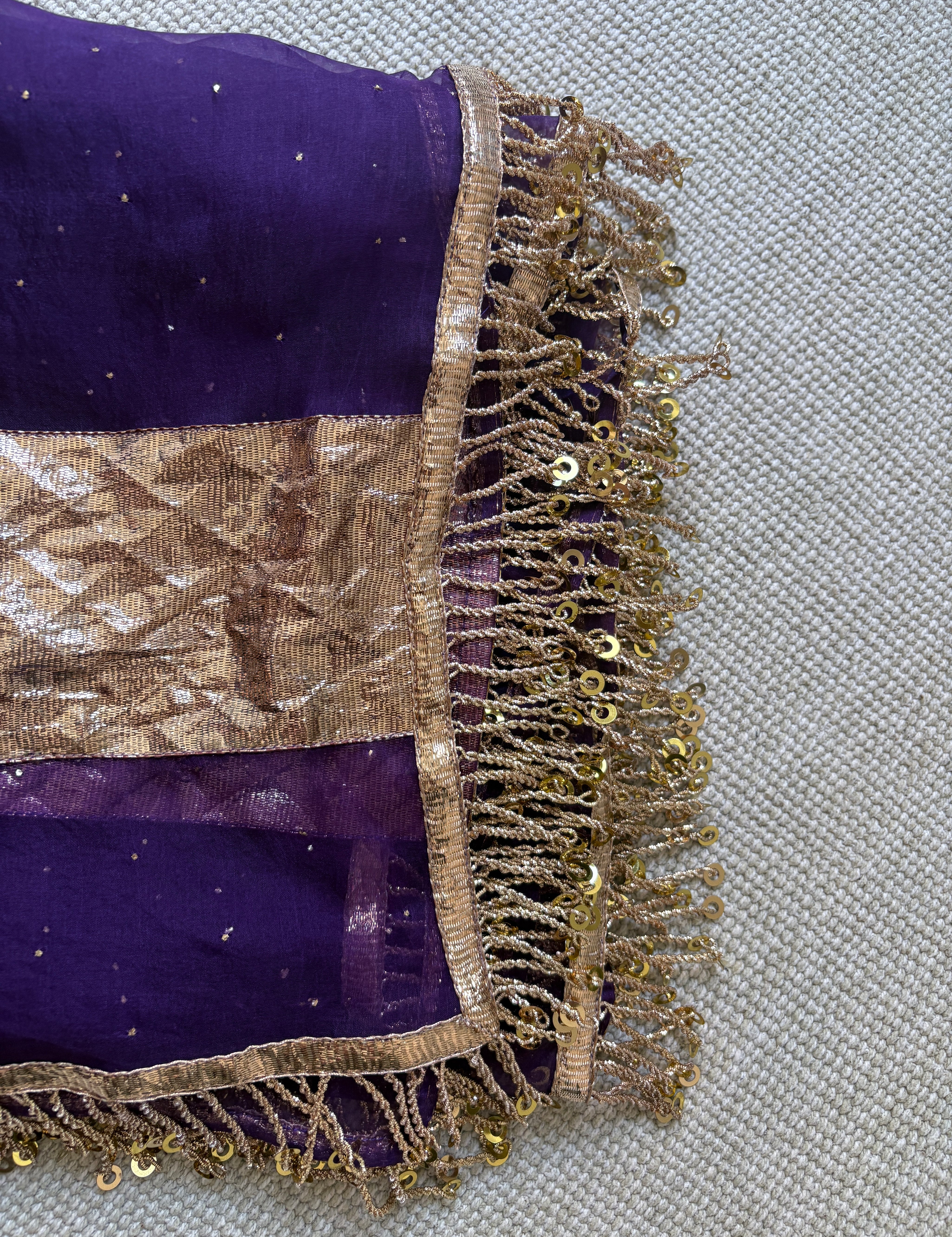 Vidya organza dupatta with Lamphi border and handcrafted Dardoji latkan detail