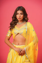 Model wearing yellow Khara Gota silk lehenga with matching dupatta

